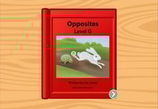 Opposites: Level G