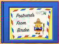Postcards from Birdee