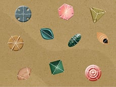Seashell Fractions