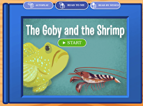 Symbiotic Relationships