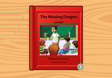 The Missing Dragon: Level I