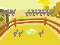 Skip Counting at the Zoo