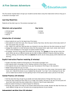 A Five Senses Adventure