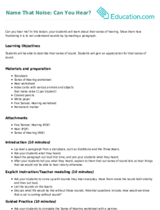 Name That Noise: Can You Hear?