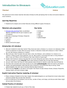 Introduction to Dinosaurs