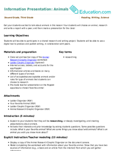 Information Presentation: Animals
