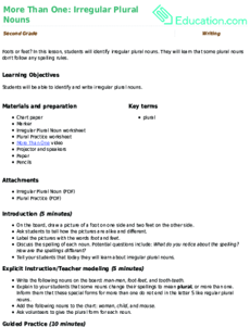 More Than One: Irregular Plural Nouns