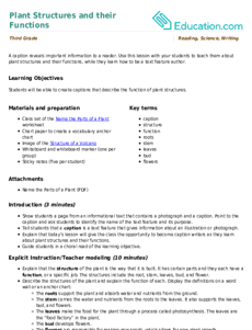 Plant Structures and their Functions