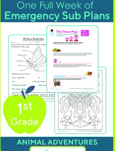 Sub Plans for First Grade