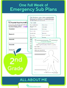 Sub Plans for Second Grade