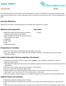 Super Sleuth