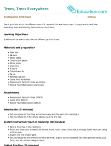 Trees, Trees Everywhere