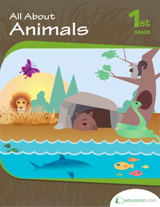 All About Animals