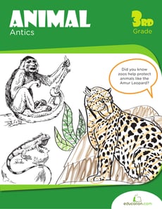 Animal Antics