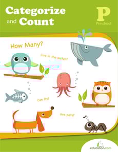 Categorize and Count