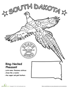 Pheasants Coloring Page