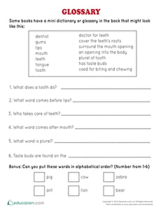 Glossary