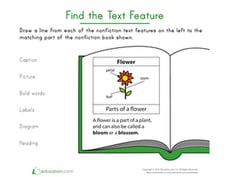 Find the Text Feature