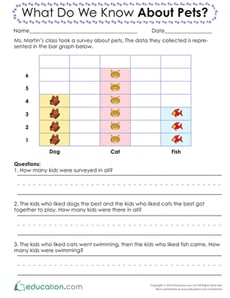 What Do We Know About Pets?