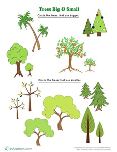 Trees Big and Small 