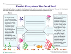 Earth's Ecosystem: The Coral Reef