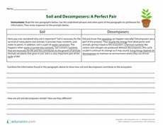 Soil and Decomposers: A Perfect Pair