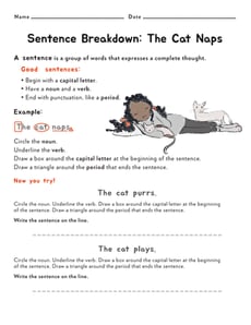 Sentence Breakdown: "The Cat Naps" 