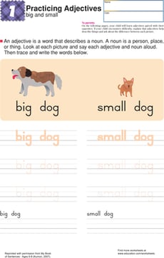 Big and Small: Practice Building Sentences
