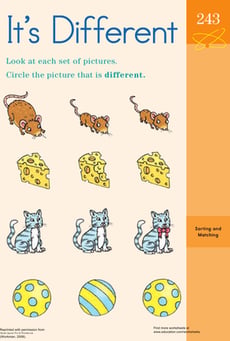 Cat and Mouse Match-Up