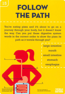 Follow the Path