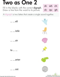 Digraphs: Two as One 2