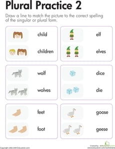 Irregular Plurals: Plural Practice 2