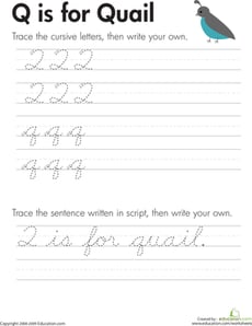 Cursive Handwriting: "Q" is for Quail