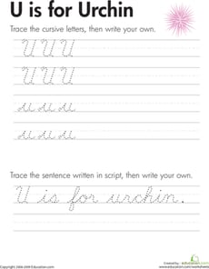 Cursive Handwriting: "U" is for Urchin