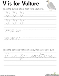 Cursive Handwriting: "V" is for Vulture