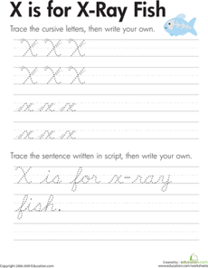 Cursive Handwriting: "X" is for X-Ray Fish