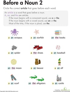 Articles: Before a Noun 2