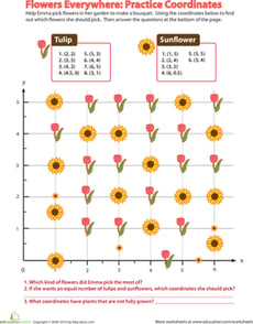 Flowers Everywhere: Practice Coordinates