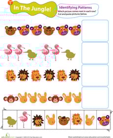 Identifying Patterns: In the Jungle