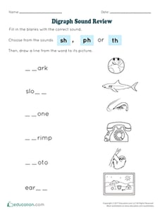 Digraph Sound Review