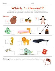 Which Is Heavier?