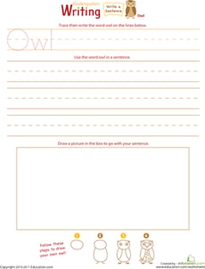 Jump Into Writing: Write an "Owl" Sentence