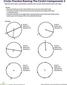 Practice Naming a Circle's Components 3
