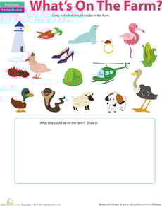 Sorting Activity: What Doesn't Belong?