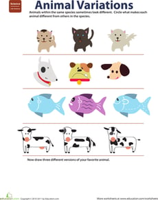 Variation in Animals: Life Science Learning