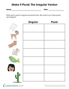 Make it Plural: The Irregular Edition