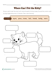 Where Can I Pet the Kitty?
