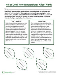 Hot or Cold? How Temperatures Affect Plants