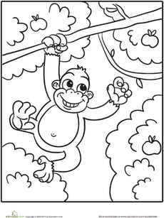 Monkey Coloring