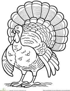 Turkey Coloring Page